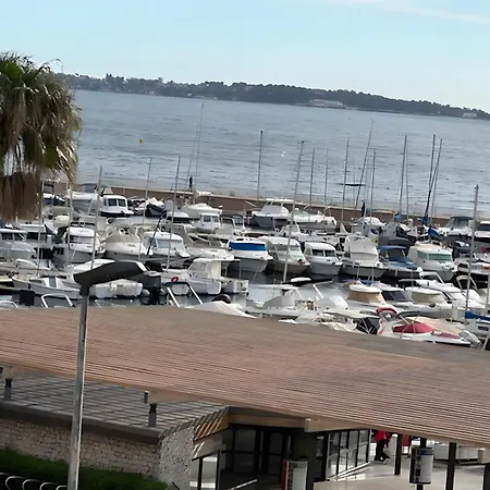 Palm Beach Right Next To The Sea * Cannes